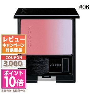 ★ポイント10倍＆割引クーポン★SUQQU スック ピュア カラー ブラッシュ #06【送料無料】ギ ...