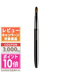 アディクション（3000円程度） ●ポイント10倍＆割引クーポン●ADDICTION アディクション リップブラシ リトラクタブル【定形外郵便送料無料】ギフト 誕生日 プレゼント 15時までの決済確認で即日発送！