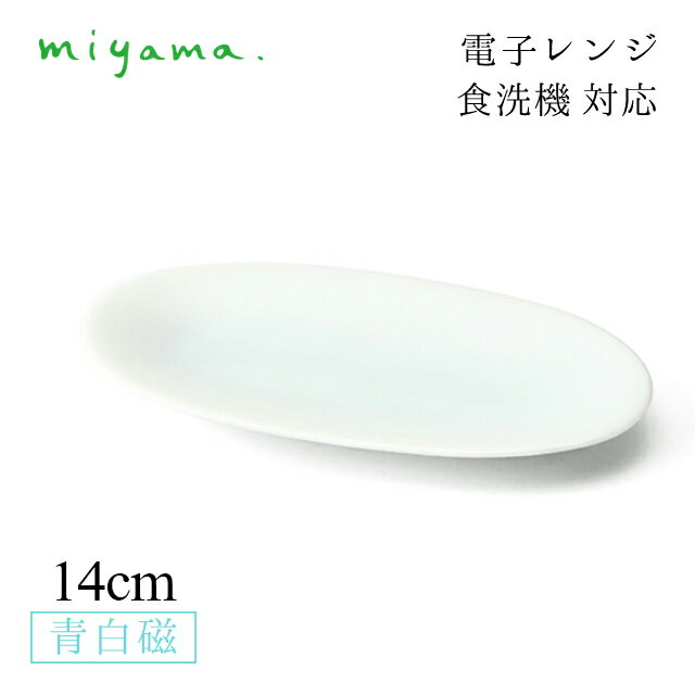 食器皿14cm楕円長々皿小10枚セ...