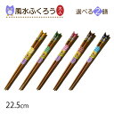 風水ふくろう お箸 2膳 大人用 選べるカラー(BL・YE・GU・PK・BR)日本製 雑貨 キッズ箸 はし 子供 子ども用 縁起 縁起物 開運 福 お土産やギフトに カトラリー ポスト投函