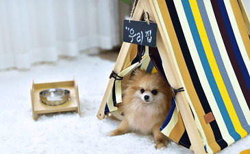 ペット犬ティピーテント おしゃれ L