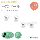 【5/1は全品ポイント5倍 限定MAX28%OFFクーポン】★30日返品OK★ 選べる珠サイズ パール イヤリング ピアス 真珠 貝パール 花珠 ノンホール 樹...