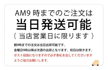 送料無料お名前キーホルダー ネームキーホルダー バッグチャーム 名入れキーホルダー 名札 木製 ネームプレート 檜 ネーム 子供 キッズ 男の子 女の子 幼稚園 小学校 かわいい おしゃれ オリジナル キャラクター プレゼント 日本製 11006 ＠