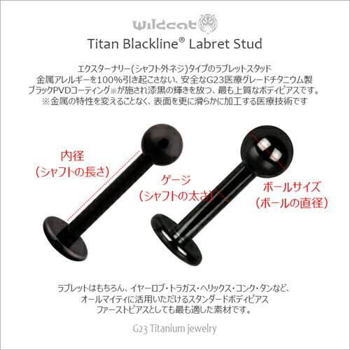 ボディピアス ラブレットスタッド Labret stud G23 Titanium 16G 14G チタン ブラック 黒 サージカル エクスターナリー イヤーロブ トラガス ヘリックス コンク リップ Wildcat ワイルドキャット