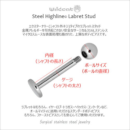 ボディピアス ラブレットスタッド Labret...の紹介画像2