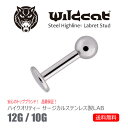 ボディピアス ラブレットスタッド Labret stud 12G 10G サージカルステンレス 316L エクスターナリー イヤーロブ トラガス ヘリックス コンク リップ タン Wildcat ワイルドキャット