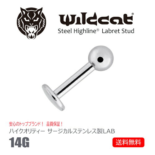 ボディピアス ラブレットスタッド Labret stud 14G サージカルステンレス 316L エクスターナリー イヤーロブ トラガス ヘリックス コン..