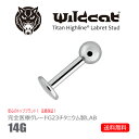 ボディピアス ラブレットスタッド 14G チタン Labret Stud G23 Titanium サージカル 医療素材 エクスターナリー イヤーロブ ヘリックス コンク リップ ラブレット ファーストピアス Wildcat ワイルドキャット