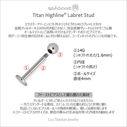 ボディピアス ラブレットスタッド 14G チタン Labret Stud G23 Titanium サージカル 医療素材 エクスターナリー イヤーロブ ヘリックス コンク リップ ラブレット ファーストピアス Wildcat ワイルドキャット