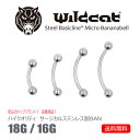ボディピアス カーブドバーベル 18G 16G サージカルステンレス バナナバーベル Bananabell バナナベル 医療素材 エクスターナリー アイブロー ...
