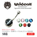 ボディピアス へそピアス 14g 無金属アレルギー Navel Bananabell 316L Stainless Steel サージカルステンレス 14ゲージ タイガーアイ 虎目石 tiger's eye 石付 ネイブルスタッド ベリーボタン カーブドピアス 医療素材 エクスターナリー Wildcat ワイルドキャット