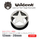 ボディピアス 星 12mm 14mm 16mm 18mm 20mm アイレット イヤーレット トンネル チューブ プラグ シングルフレア 無金属アレルギー サー...