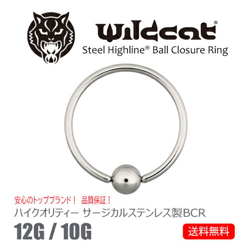 ボディピアス リング BCR Ball Closure Ring 12G 10G ボールクロージャーリング サージカルステンレス 316L Clip-in イヤーロブ トラガス ヘリックス コンク ニップル リップ タンリム Wildcat ワイルドキャット