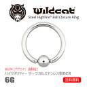 ボディピアス リング BCR Ball Closure Ring 6G ボールクロージャーリング サージカルステンレス 316L Clip-in イヤーロブ トラガス ヘリックス コンク ニップル リップ タンリム Wildcat ワイルドキャット