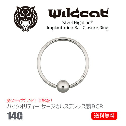 ボディピアス リング BCR Ball Closure Ring 14G ボールクロージャーリング 14ゲージ サージカルステンレス 316L Clip-in イヤーロブ トラガス ヘリックス コンク ニップル リップ タンリム Wildcat ワイルドキャット