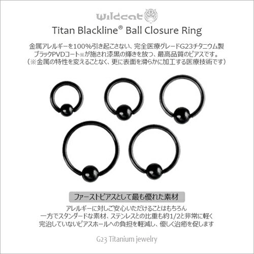 ボディピアス リング BCR Ball Closure Ring G23 Titanium 18G 16G 14G ブラック 黒 チタン Black-PVD ボールクロージャーリング サージカルチタン Clip-in イヤーロブ トラガス ヘリックス コンク リップ Wildcat ワイルドキャット