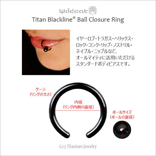 ボディピアス リング BCR Ball Closure Ring G23 Titanium 18G 16G 14G ブラック 黒 チタン Black-PVD ボールクロージャーリング サージカルチタン Clip-in イヤーロブ トラガス ヘリックス コンク リップ Wildcat ワイルドキャット