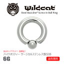 ボディピアス Body Pierce リング スクリューインボールリング Screw-in Ball Ring 6G サージカルステンレス 316L インターナリー イヤーロブ コンク フレナム Wildcat ワイルドキャット