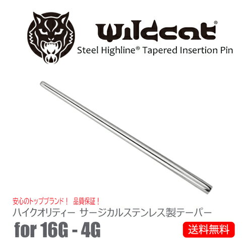 ボディピアス 無金属アレルギー テーパー 拡張器 インサーションピン 16G 14G 12G 10G 8G 6G 4G 器具 専用ツール サージカルステンレス..