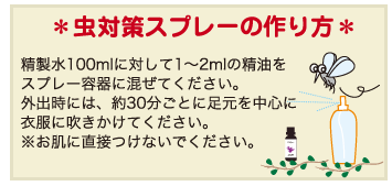 【クーポン対象】レモングラス 精油 30mL 正規輸入品【ラッキーシール対応】now エッセンシャルオイル アロマオイル 虫対策 ウエストインディアンタイプ