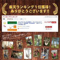 【チェアランキング1位獲得!】キュリアスチェアハンモックスターターセット【送料無料・あす楽対応】【省スペース1人用新築つま先まですっぽり♪高い伸縮性で高いフィット感リノベやグランピングにも】
