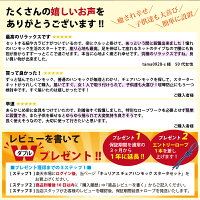 キュリアスオリジナルチェアハンモックスターターセット