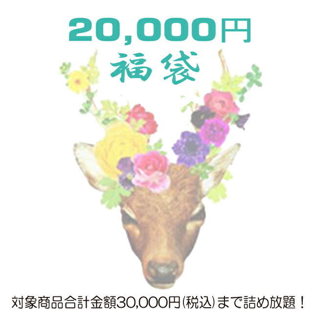 ☆数量限定☆【福袋チケット2万円】税込30，000円までの対象商品が詰め放題（レディース）【送料無料】【smtb-k】【w4】（返品・交換・ギフト包装不可）