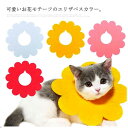 送料無料 5枚セット XS/S/...