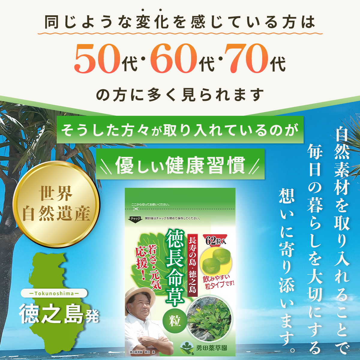 【 徳 長命草 粒 62錠×2袋セット 】 マルチビタミン ナイアシン ミネラル サプリメント ボタンボウフウ 約2ヶ月分 健康 食物繊維 カルシウム 鉄分 ポリフェノール 等の成分豊富 サプリ 世界自然遺産 徳之島 直送 エイジングケア 健康食品 女性 男性 国産 鹿児島 送料無料 - Image 3