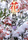 楽天市場】鍵和田 ・子の通販