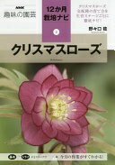 クリスマスローズ (NHK趣味の園芸12か月栽培ナビ(2)) 野々口 稔