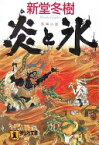 炎と氷: 長編小説 (祥伝社文庫 し 14-1) 新堂 冬樹【中古】