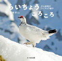 らいちょうころころ立山室堂のライチョウ親子 戸塚 学【中古】