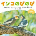 インコのびのびーオカメインコ・セキセイインコのオーストラリア野生生活 岡本 勇太【中古】