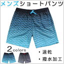 ショートパンツ 水着 みずぎ レディース メンズ 男性用 ユニセックス 海パン 短パン カラフル プール ビーチ サーフパンツ リゾート ペア お揃い カップル...