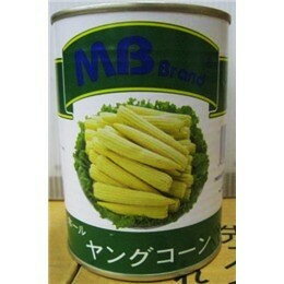 【常温】7643 ヤングコーン (M)3号缶 丸松物産【3980円以上送料無料】 【常温】7643 ヤングコーン (M)3号缶 丸松物産【3980円以上送料無料】