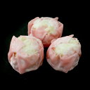 【冷凍】30242 彩りたけのこしゅうまい26g(26g×15個) 四国日清【3980円以上送料無料】