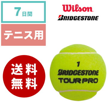 【レンタル】テニスボール 硬式用 ウィルソン（Willson ）ブリヂストン（BRIDESTONE）《7日間レンタル》【往復送料無料】1週間レンタル スポーツ用品レンタル