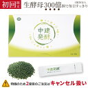 【※初回限定※】 酵母食品 中建発酵 30包(15日分)生きた酵母 酪酸菌 乳酸菌 イースト菌 らくさん菌 フローラ 細菌 発酵食品
