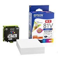 ���ץ��� ICCL81V [4������] �ڥ��󥯡�