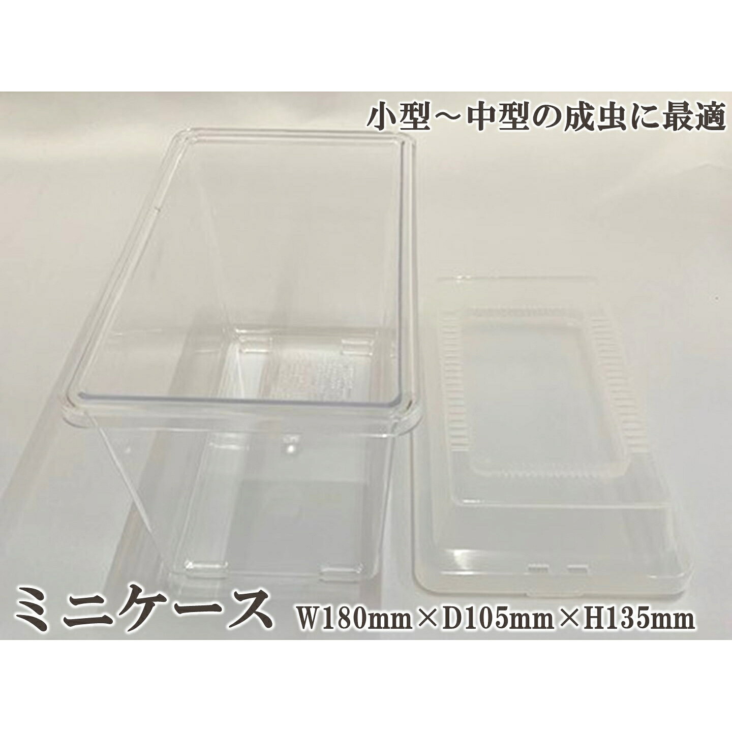 【DDA】コバエ侵入抑制 飼育ケース(ミニ/小...の紹介画像3