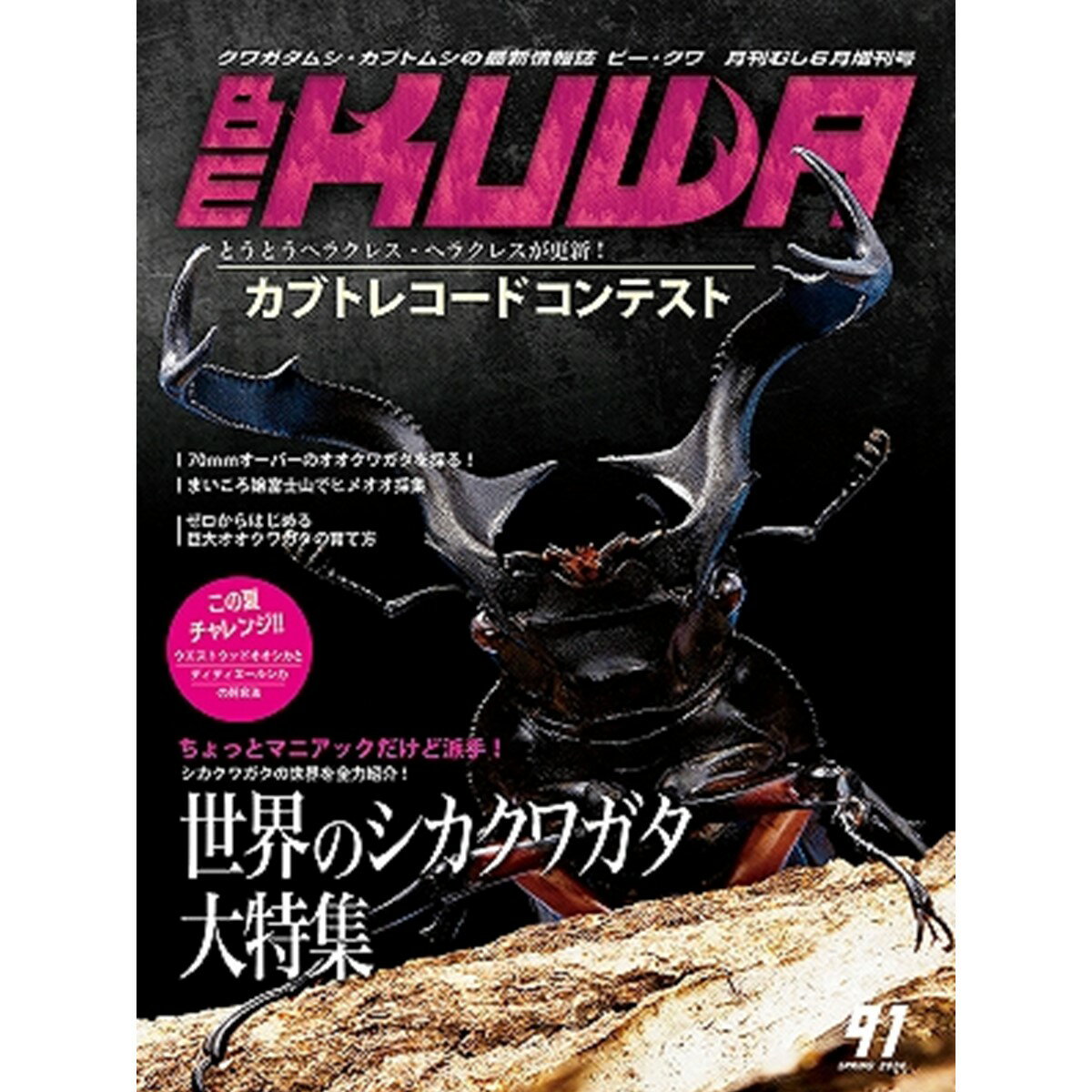 【DDA】BE-KUWA 最新号No.91 世界のシカクワガタ大特集!! dda クワガタ カブトムシ 雑誌