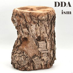 【DDA】newクラフトウッド(L) 2311171405 dda クワガタ カブトムシ 止まり木 登り木