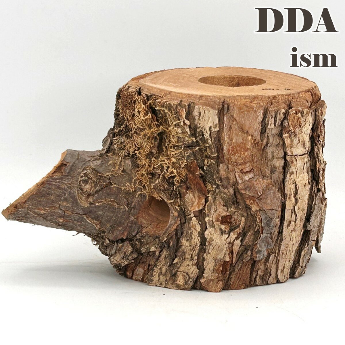 【DDA】newクラフトウッド(M) 2401121338 dda クワガタ カブトムシ えさ皿 止まり木 登り木