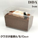 ＼4~6点フルセット／ 産卵マニュアル付き！【DDA】クワガタ産卵(A/B/C)セット ケース 産卵マット 産卵木 ゼリー えさ皿 足場木 床材 dda クワガタ 昆虫 観察 鑑賞 産卵セット 自由研究