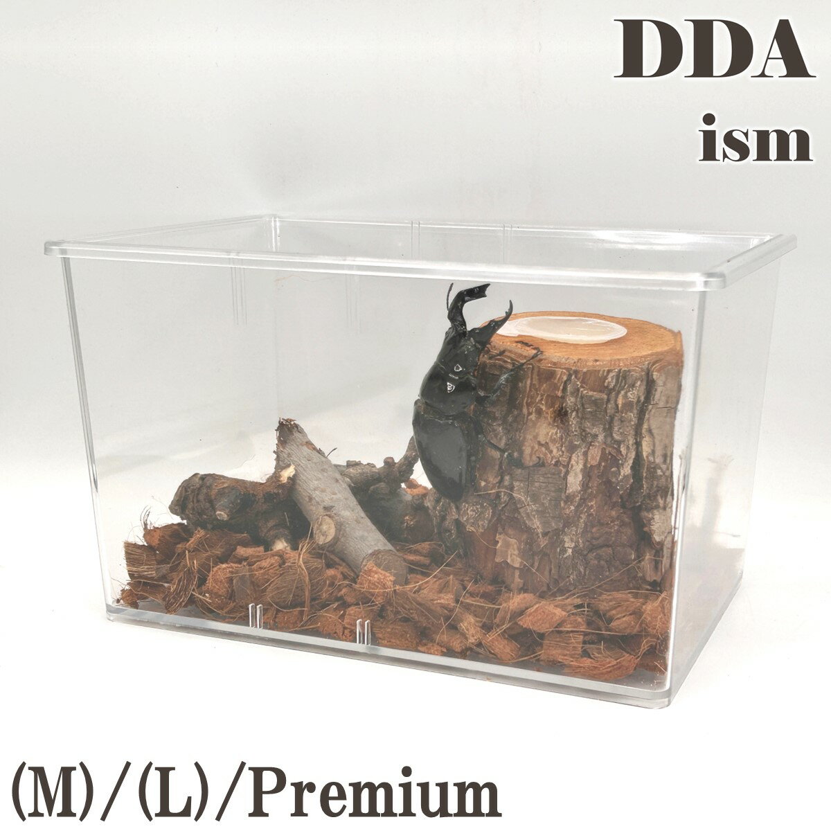 ＼5点フルセット／ 飼育マニュアル付き！【DDA】クワカブ飼育・観察セット M/L/Premium ケース ゼリー えさ皿 足場木 床材 入り dda クワガタ カブトムシ 昆虫 観察 鑑賞 飼育セット 自由研究