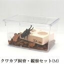 ddaism:10001229のサンプル画像2