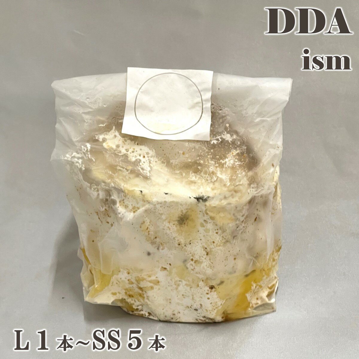 【DDA】植菌カワラ材 L1～SS5本 加水