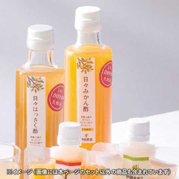 DISM & Co.の【エントリーでP5倍★更に！クーポン配布中】 伊藤農園 日々かんきつ酢 詰合せ 8本 みかん しらぬい はっさく vi-8g 飲むお酢 飲む酢 フルーツビネガー 果実酢 柑橘 希釈 乳酸菌 健康 美容 ギフト プレゼント 贈り物 御中元 御歳暮 内祝い お返し｜アングル2