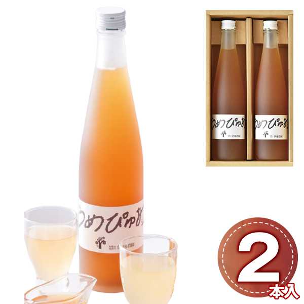 伊藤農園 うめぴゅあシロップ 500ml 2本セット 南高梅 和歌山 梅シロップ 粗精糖 自然熟成 炭酸割り ギフト プレゼント のし対応 御中元 御歳暮 内祝い